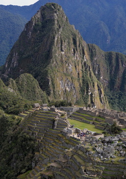 Picture